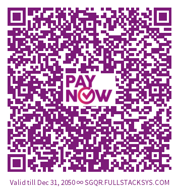 Paynow custom